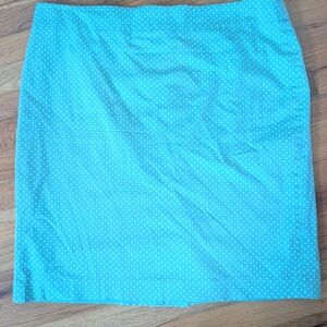 Ann Taylor Aqua Polka Dot Fabric